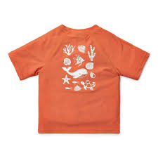 LITTLE DUTCH - maglia con zip costume summer - BOY