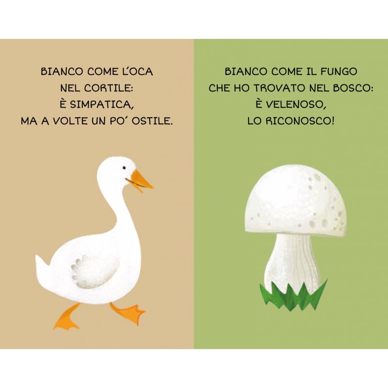 SASSI - la mia prima biblioteca: I COLORI giocattoli- UNISEX
