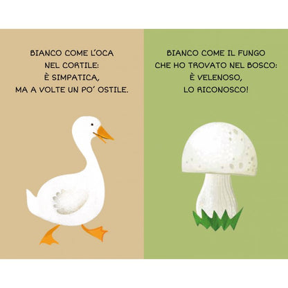 SASSI - la mia prima biblioteca: I COLORI giocattoli- UNISEX